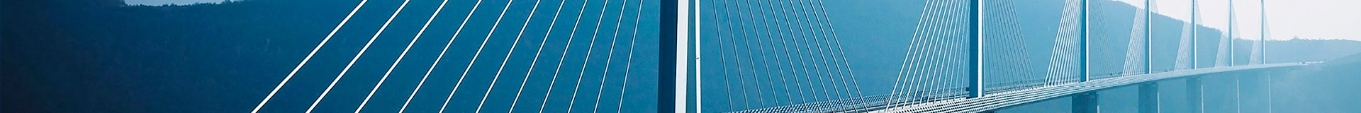 Partnering Carriers - Sea